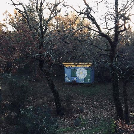 La Maison De Mado Et Sa Cabane Dans Les Arbres Plan d'Aups Экстерьер фото