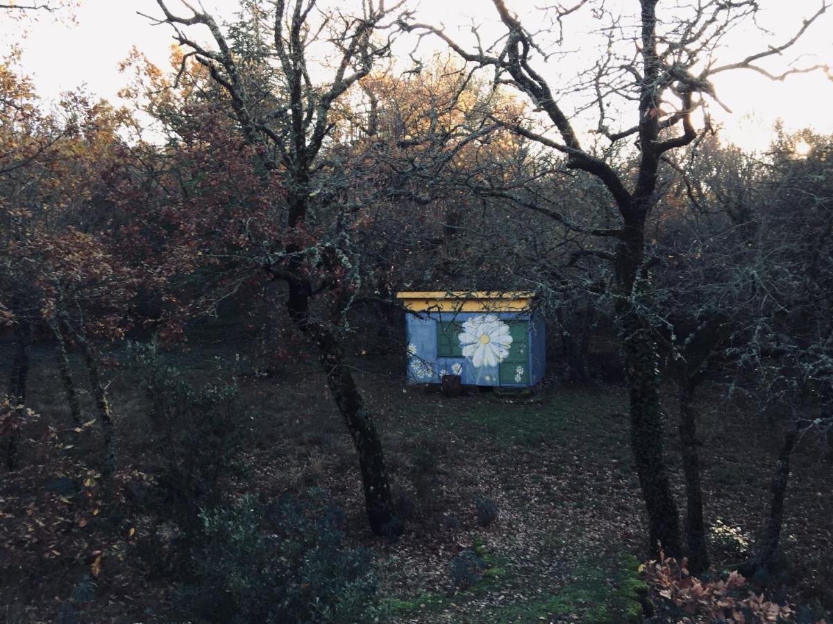 La Maison De Mado Et Sa Cabane Dans Les Arbres Plan d'Aups Экстерьер фото