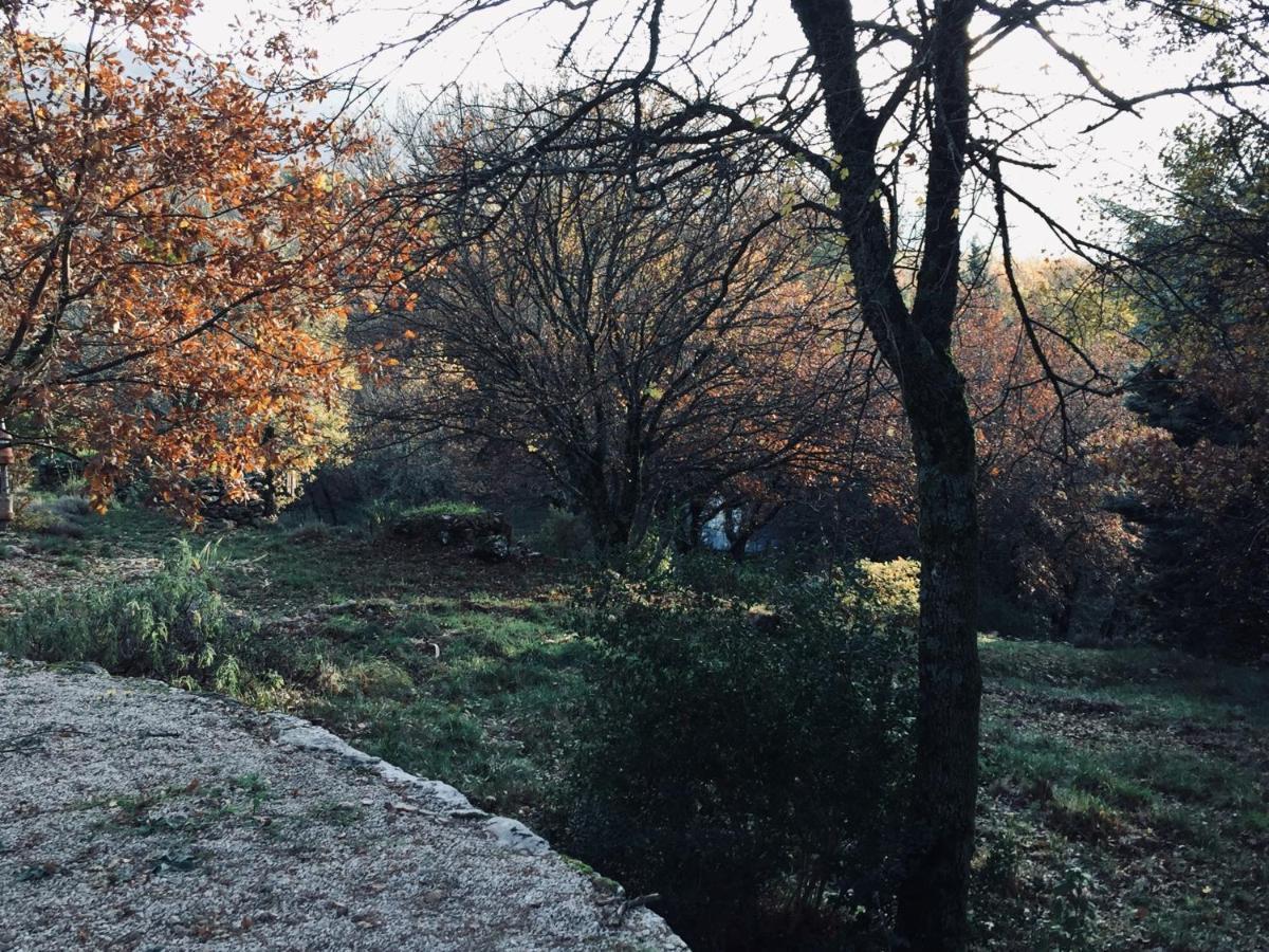 La Maison De Mado Et Sa Cabane Dans Les Arbres Plan d'Aups Экстерьер фото