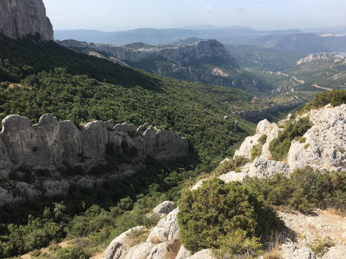 La Maison De Mado Et Sa Cabane Dans Les Arbres Plan d'Aups Экстерьер фото